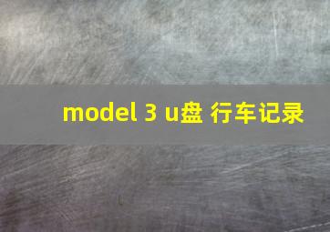 model 3 u盘 行车记录